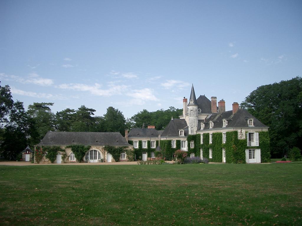 Chateau Du Plessis - Anjou La Jaille-Yvon Luaran gambar